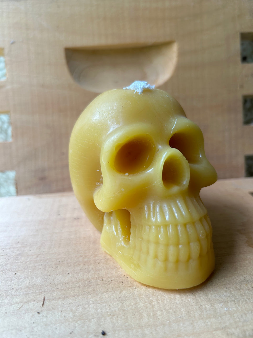 Skull Candle