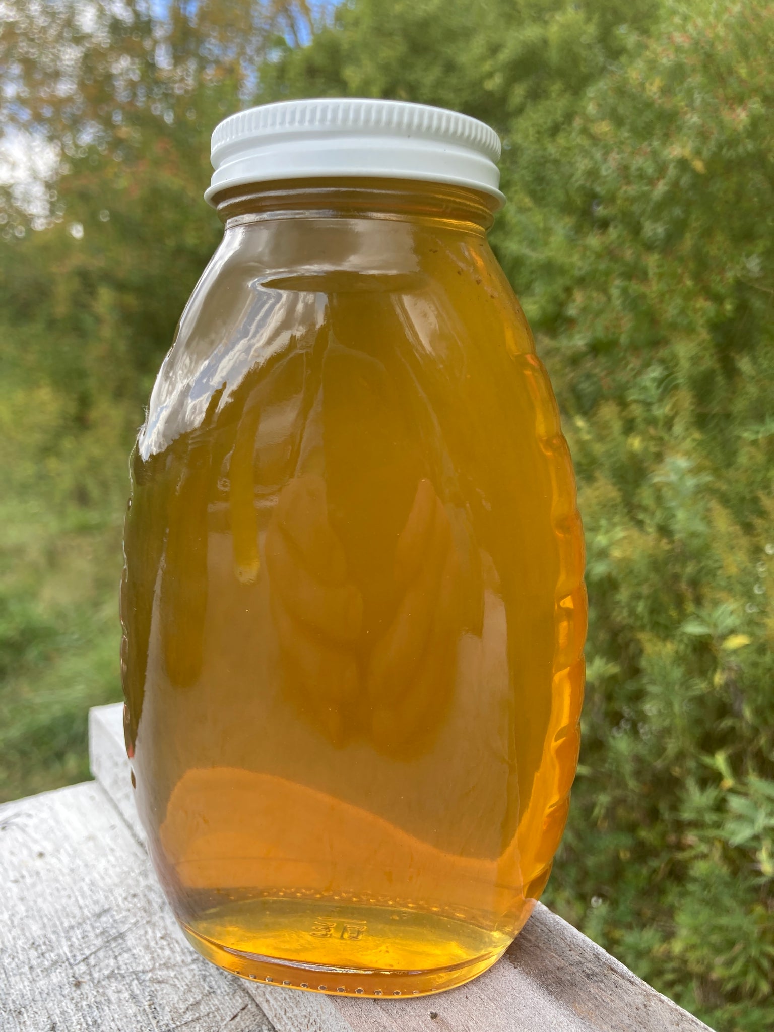 Glass Apiary Summer Glass – Cree's Bees Apiaries