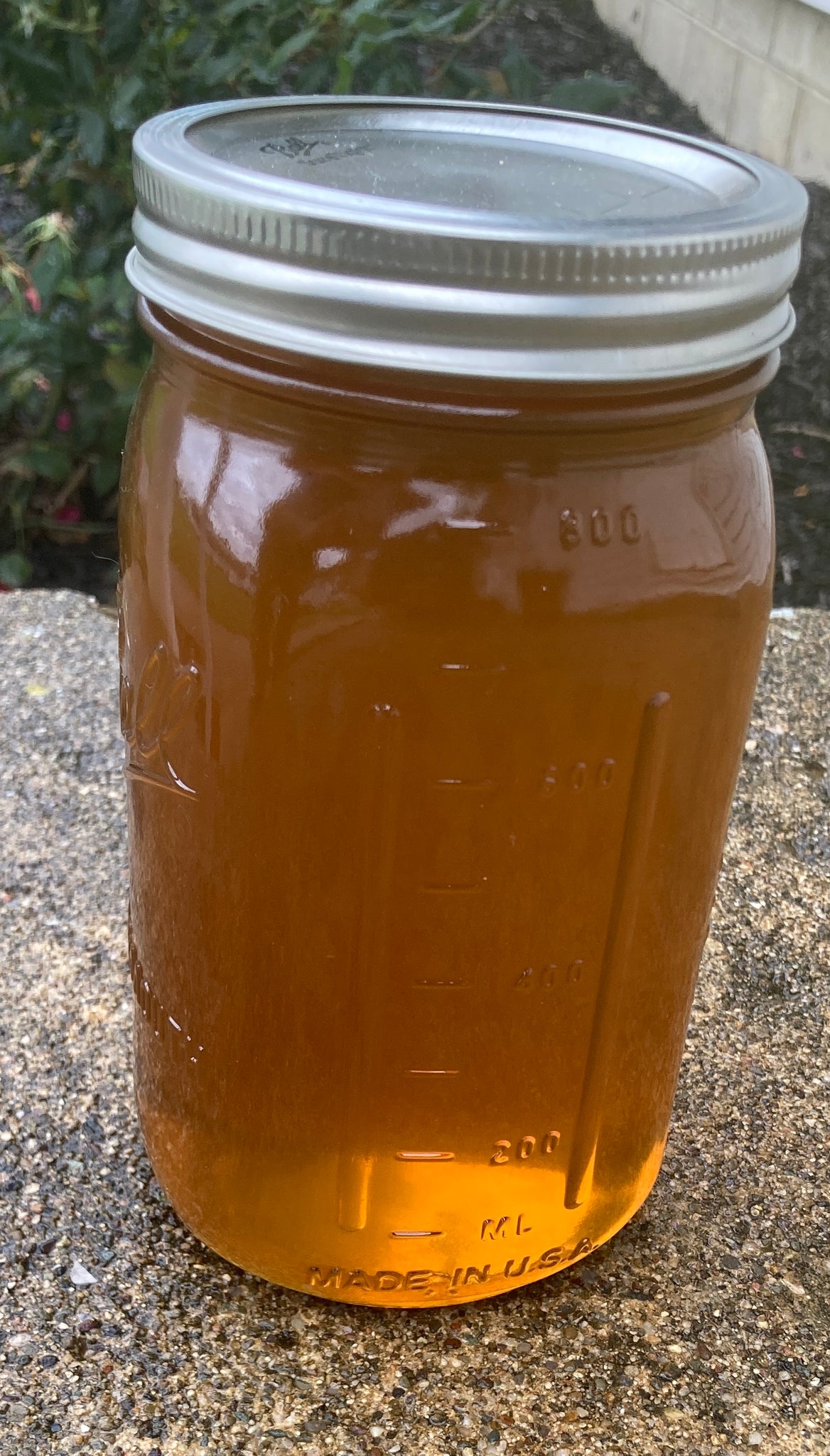 Glass Apiary Summer Glass – Cree's Bees Apiaries